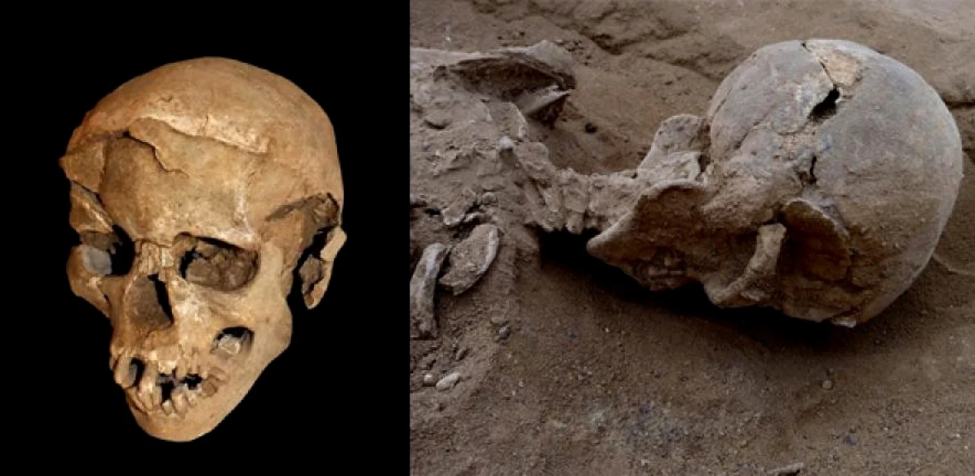 Craniul distrus al unei victime al războiului preistoric de pe malurile lacului Turkana FOTO cam.ac.uk