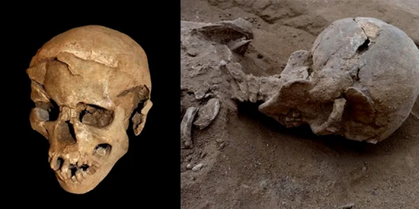 masacrul de la lacul Turkana