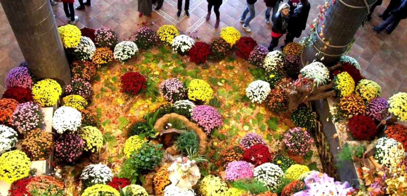 Expoziţia va fi deschisă până duminică. Foto: Florin Matei