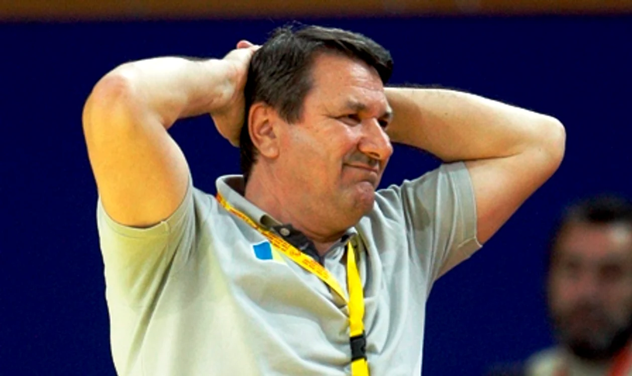 
    Radu Voina  