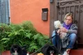 mickey rourke petrecere cu catei jpeg
