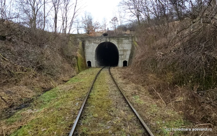 Tunelul Holdea. Foto: Daniel Guță. ADEVĂRUL