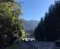 Urșii au luat cu asalt Poiana Brașov foto: Alina Erimia 