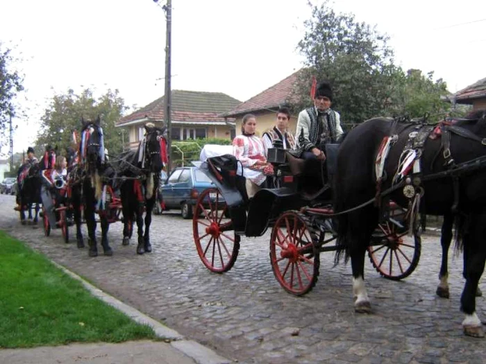 Festivalul Zaibărului