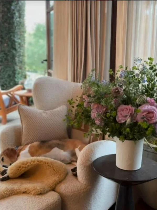 Mia, câinele lui Meghan Markle stă pe o pătură Hermes de 2000 de dolari, în vila din Montecito. FOTO: captură de ecran 