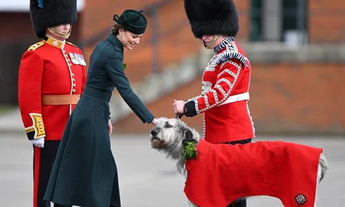 1 kate profimedia 0671402623 jpg jpeg