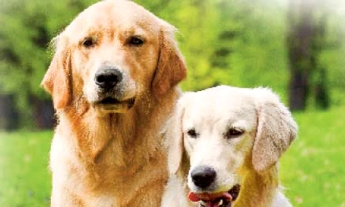 1 49170 original jpg jpeg