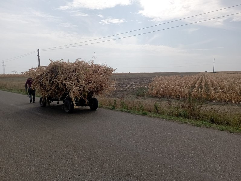 Țăranii români ajung să cumpere cereale de la ucraineni. Culturile distruse îi alungă în străinătate sau îi bagă în datorii