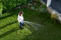 gazon curte istock jpg