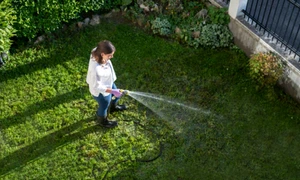 gazon curte istock jpg