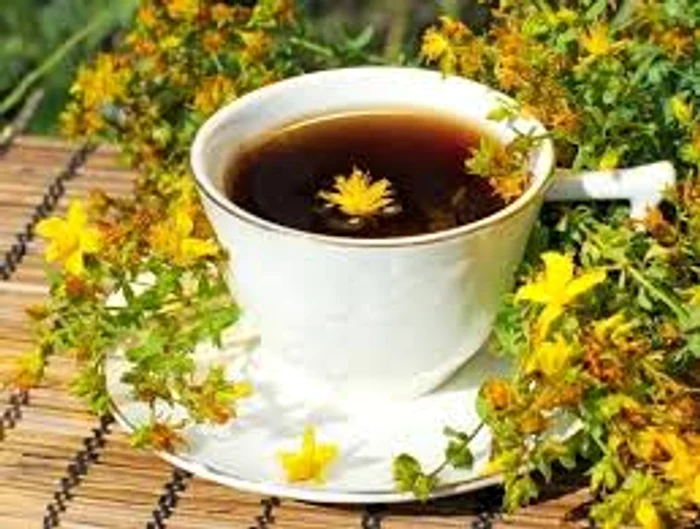 Sunătoarea un remediu excelent pentru stările de stres și insomnie Sursa foto: Arhiva Click