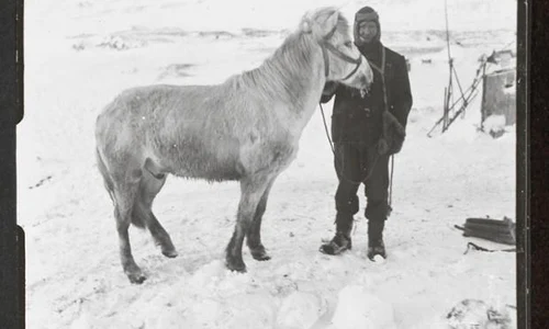 historia ro undefined jpeg