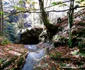 Cascada din Valea Rea Foto Daniel Guță (5) jpg