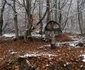 catunul valea talharului foto daniel guta adevarul