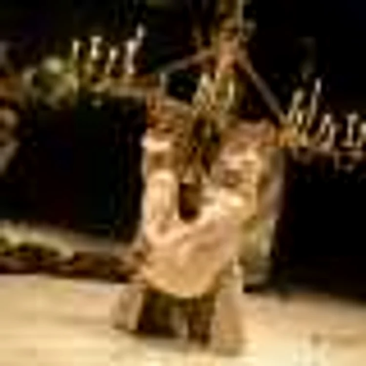 amadeus teatrul antional radu stanca