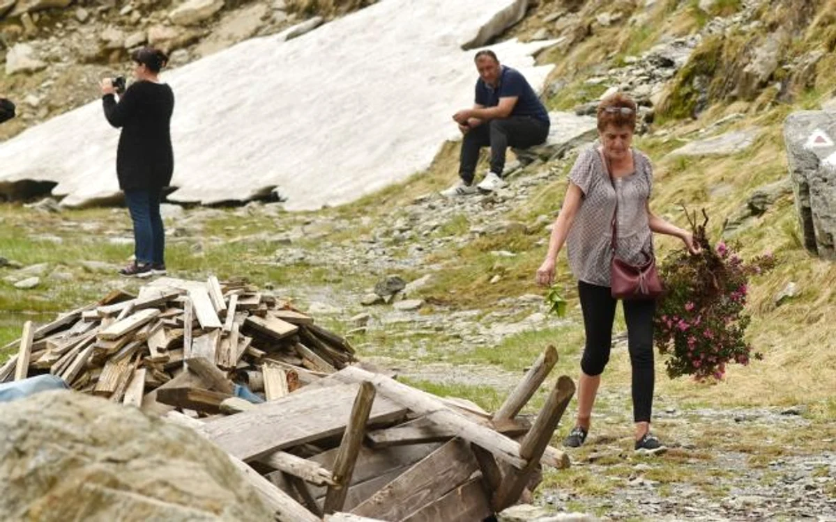 O femeie a fost surprinsă rupând bujori de munte pe Transfăgărăşan weekendul trecut: