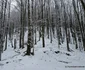 Pasul Vulcan Cascada Lupilor Foto Daniel Guță ADEVĂRUL (7) jpg