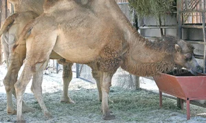 CLIIMA20121008 0048 1 jpeg