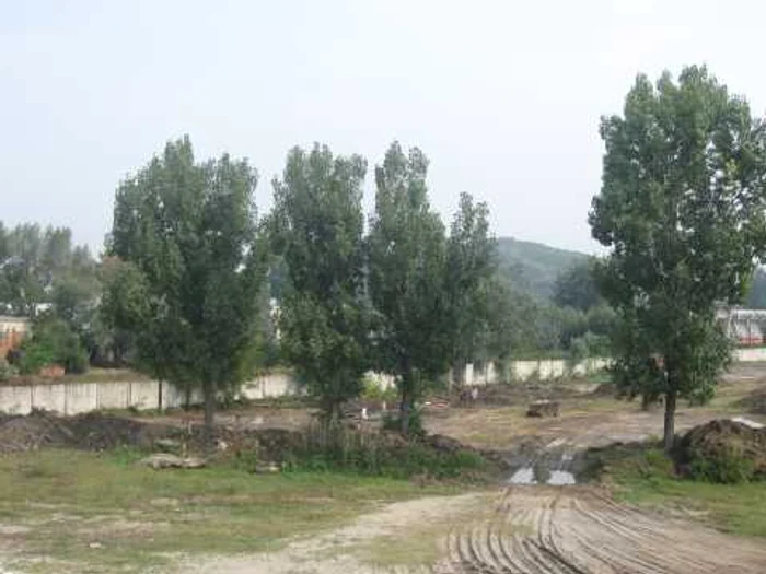 Malul Oltului se va tranforma în zonă de agrement