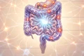 Sistem intestinal jpg