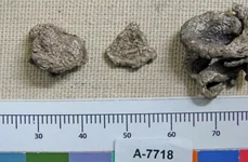 Oamenii de ştiinţă au descoperit indicii privind utilizarea argintului ca mijloc de plată în sudul Levantului care datează din Epoca Bronzului (foto: Israel Antiquities Authority)