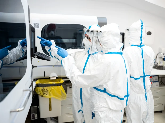 1 regina maria jpg jpeg