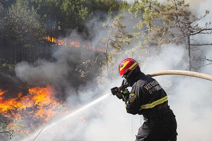 
    Panică şi groază în apropiere de oraşul Seger GornjiFoto: profimedia  