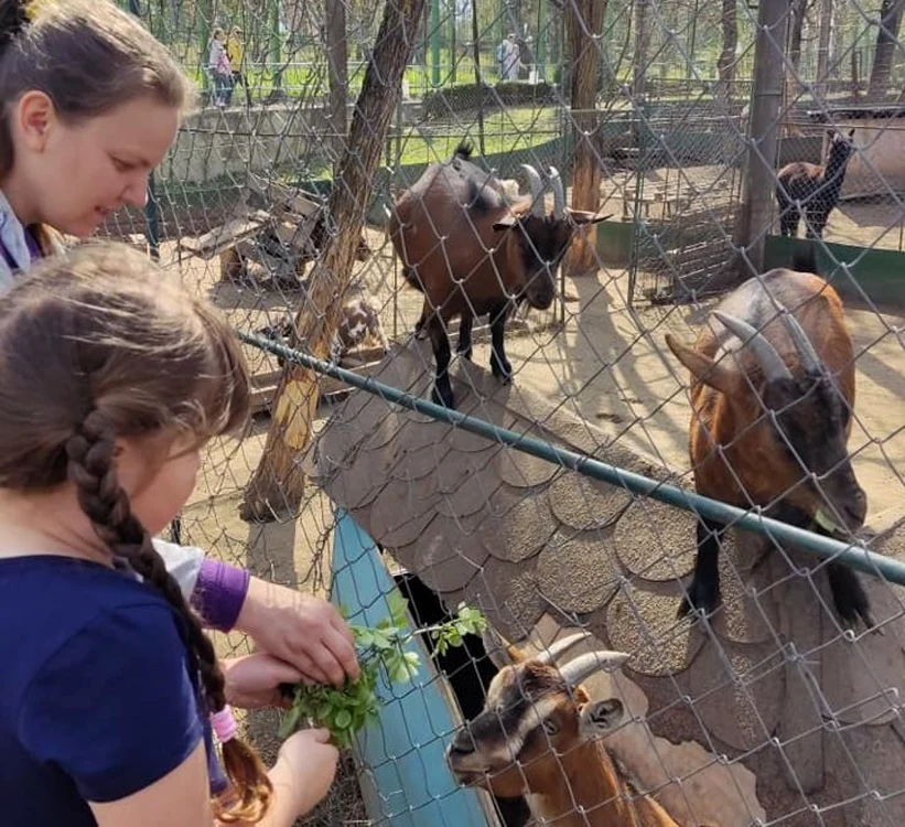 Copii ucraineni s-au bucurat de vizita la Grădina Zoologică din Galaţi FOTO Dana Hâncu