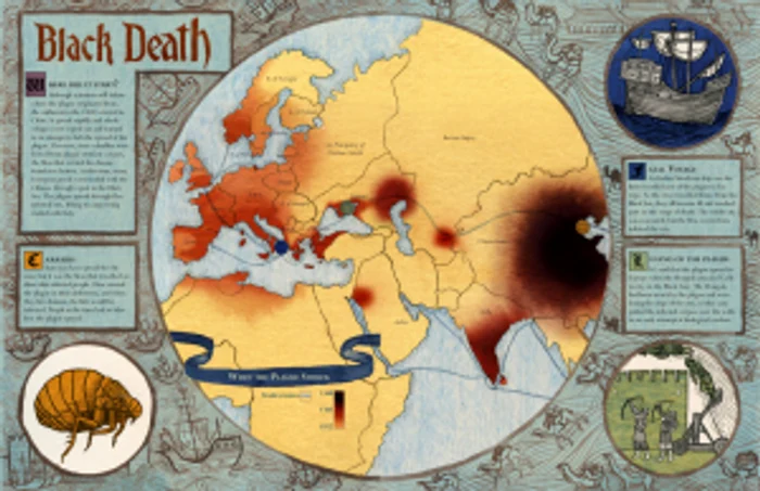 Secolul al XIV-lea, drumul "Morţii Negre" dinspre Orient în Europa