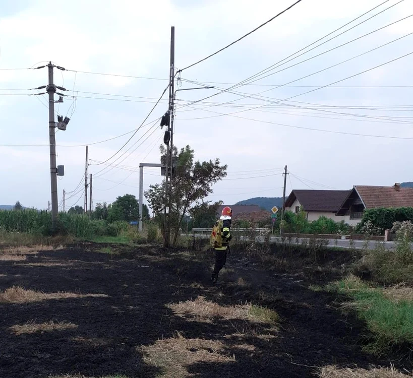 Peste 100 de hectare de teren au fost afectate de incendii într-o noapte Foto: ISU Argeș