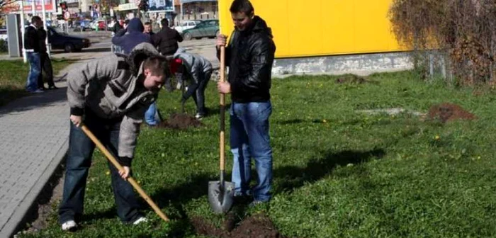 Elevii vor planta copaci în sectorul 6 FOTO Arhivă