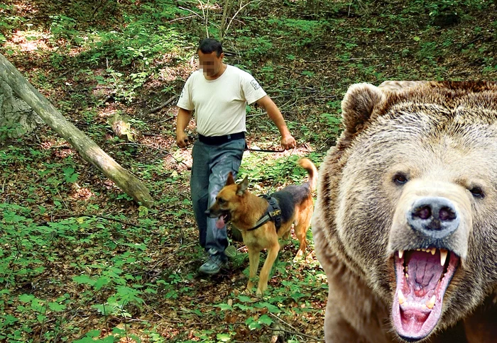 
    Animalul e rănit  şi foarte agresiv  