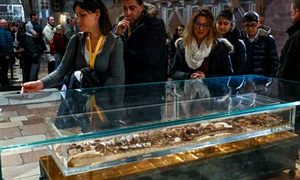 ramasite francisc assisi profimedia jpg