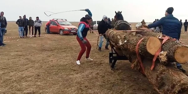 bataie cai visina
