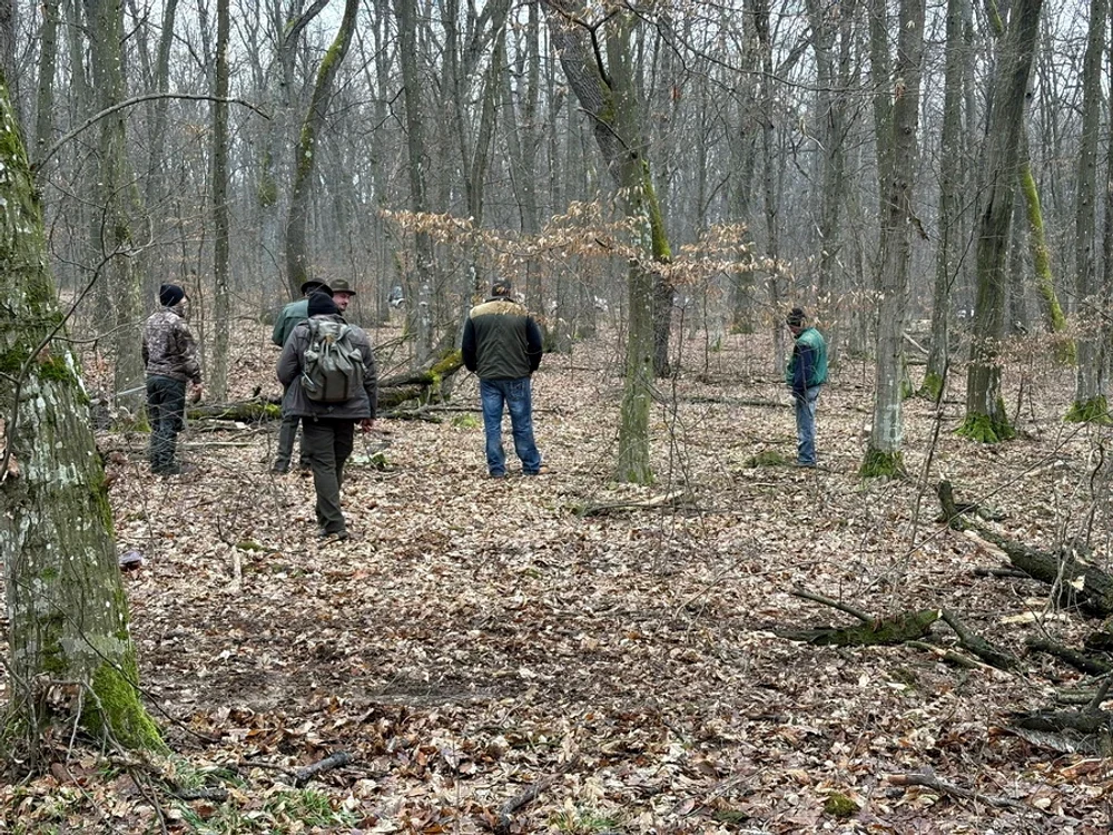 Patru persoane au fost reținute în dosarul privind defrișările ilegale în pădurea din Băile Felix. Ce au găsit anchetatorii la percheziții