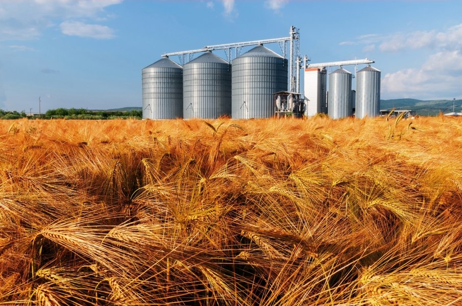Cum fentează negustorii regulile României privind cerealele ucrainene: analize măsluite și șpăgi per camion