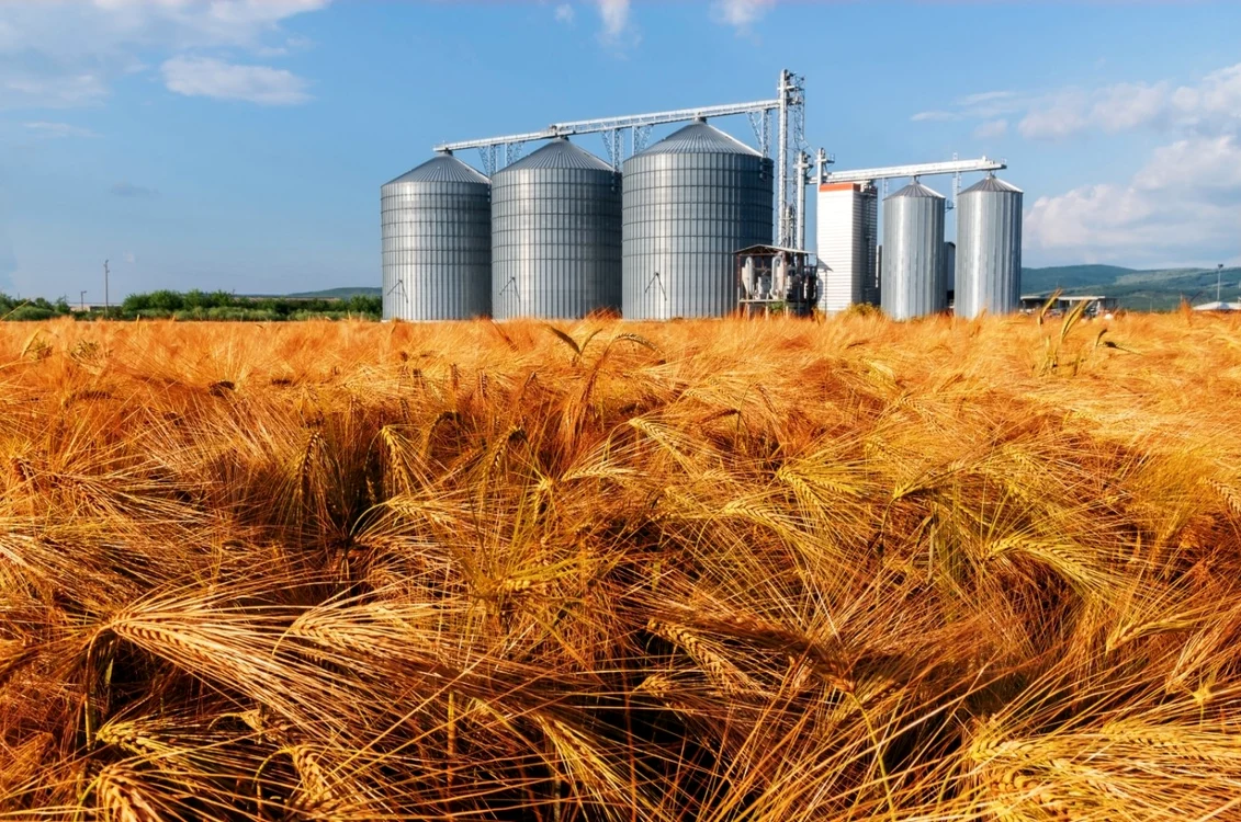 Siloz cereale FOTO Shutterstock