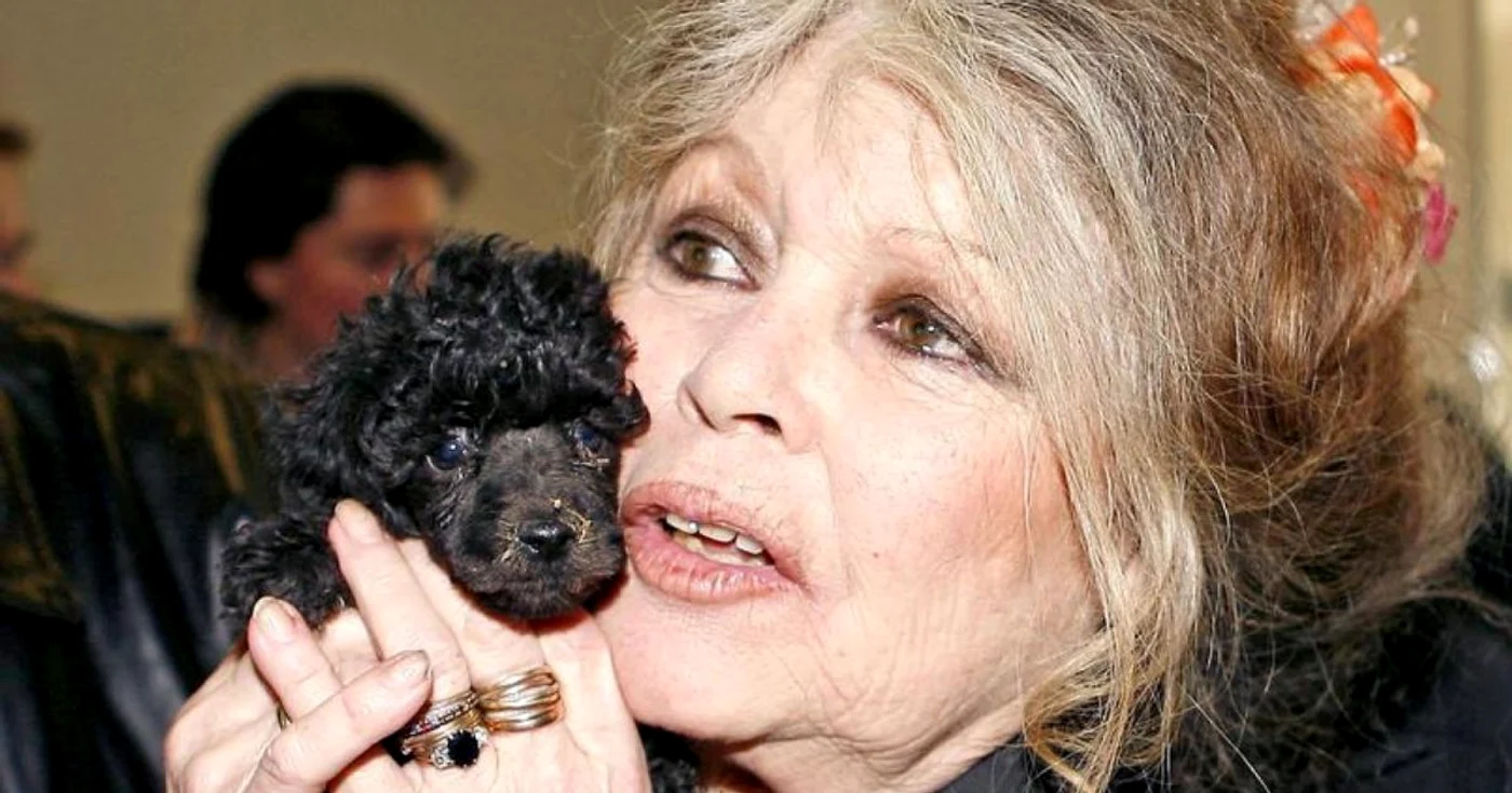 Brigitte Bardot FOTO Abaca via Le Figaro