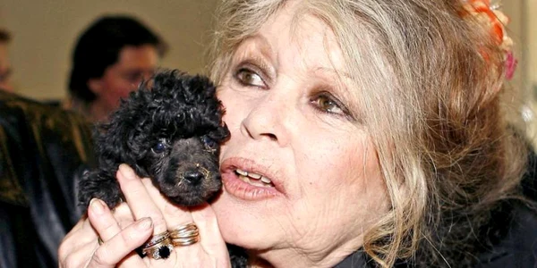 Brigitte Bardot FOTO Abaca via Le Figaro