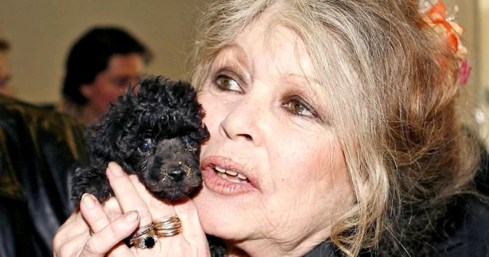 Brigitte Bardot FOTO Abaca via Le Figaro