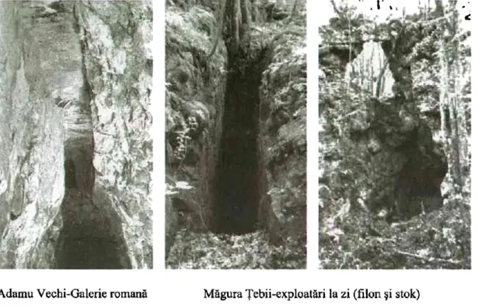 Minele de aur de la Căraci. Foto: vol. Extaz și Agonie în mineritul zărăndean