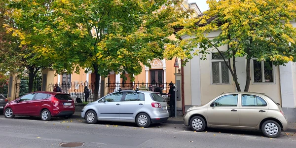 sinagoga tg mures jpg