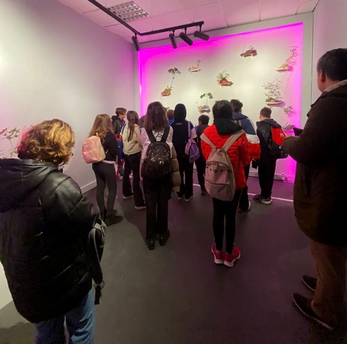 Tururi ghidate Art Safari Kids jpeg