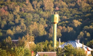 ambrozia creste langa case jpeg