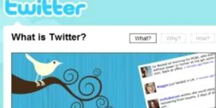 Laburiştii, sfătuiţi să comunice electoral pe Twitter