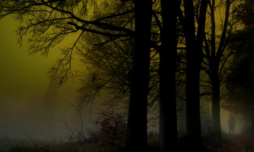 4 paranormal forest jpg jpeg