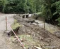 Valea Cernei și Cernișoarei, după inundatii Foto Daniel Guță ADEVĂRUL (36) jpg