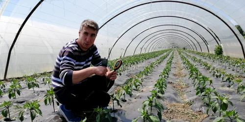 agronom doru crăciunescu - foto arhiva personală