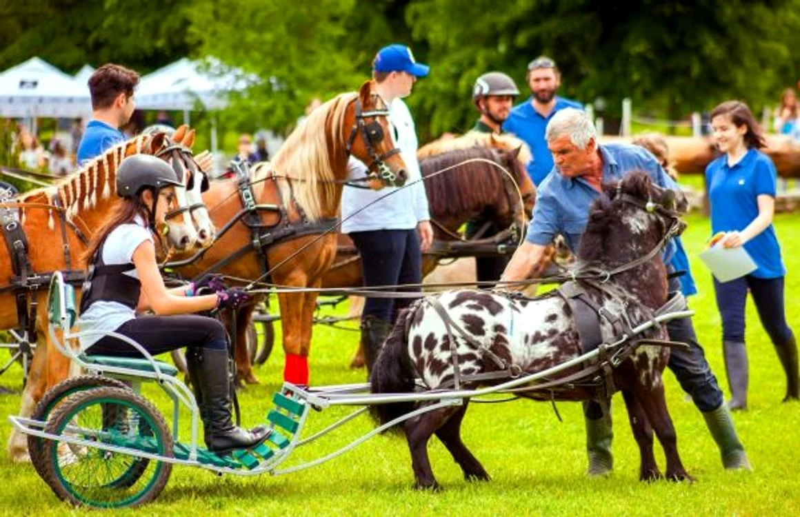 Karpatia Pony Show