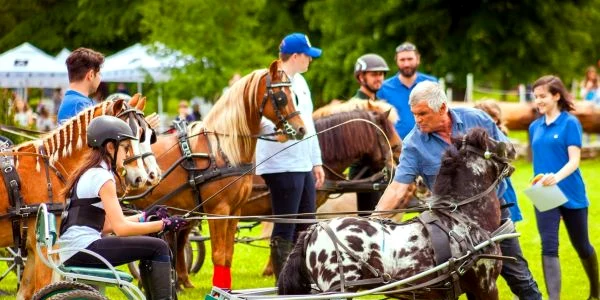 Karpatia Pony Show